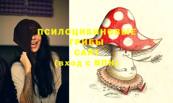 спиды Зеленокумск