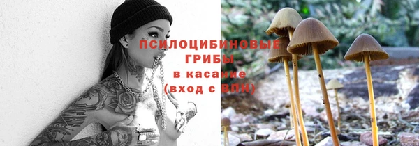 спиды Зеленокумск