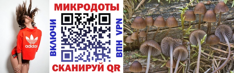 Псилоцибиновые грибы Psilocybe  kraken маркетплейс  Пенза  наркотики 
